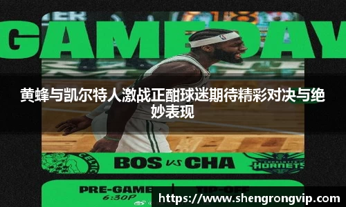DG视讯平台