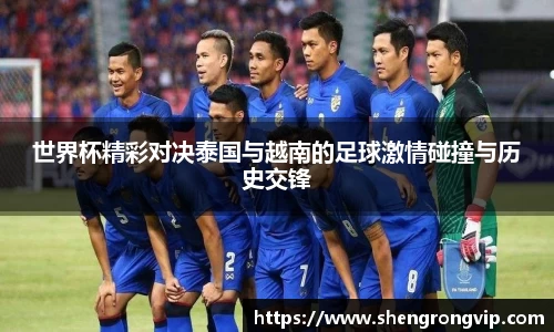 世界杯精彩对决泰国与越南的足球激情碰撞与历史交锋